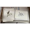 Image 4 : LARGE HARD SIDE PORTFOLIO CASE & CONTENTS: ANIMAL PRINTS, AVIATION PRINTS & MORE