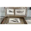 Image 6 : LARGE HARD SIDE PORTFOLIO CASE & CONTENTS: ANIMAL PRINTS, AVIATION PRINTS & MORE