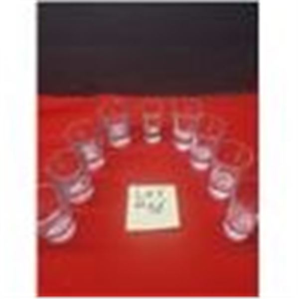 Restaurant Shot Glasses