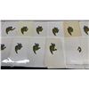 Image 9 : COLLECTION OF VINTAGE "TEENAGE MUTANT NINJA TURTLES" ANIMATION CELS