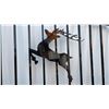 Image 2 : *NEW* ALUMINUM DEER MOTIF DRIVEWAY GATES