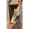 Image 5 : HEAVY DUTY EXCAVATOR BUCKET