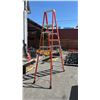 Image 3 : FEATHERLITE  10' FIBERGLASS LADDER