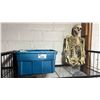 Image 1 : PLASTIC SKELETON & THOM & FRIENDS WOODEN RAILWAY (UNKNOWN IF COMPLETE)