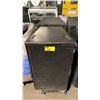Image 1 : PAIR OF EASTERN ACOUSTIC WORKS SB600E CONCERT LEVEL SUBWOOFERS ON MOBILE STANDS WITH COVERS