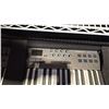 Image 3 : THE NEKTAR IMPACT LX49+ CONTROLLER KEYBOARD IN SOFTSHELL CASE