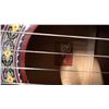 Image 2 : ROGUE MODEL RAG-R ACOUSTIC GUITAR WITH 2 STANDS