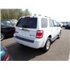 Image 3 : 2008 Ford Escape Hybrid