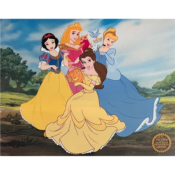 DISNEY Princess Cinderella Belle Snow White Aurora Sericel