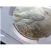 Image 10 : PEACE SILVER DOLLAR - 1922 - MS62