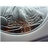 Image 5 : AMERICAN SILVER EAGLE - 2010 - MS69