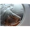 Image 6 : AMERICAN SILVER EAGLE - 2010 - MS69
