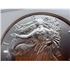 Image 7 : AMERICAN SILVER EAGLE - 2010 - MS69