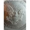 Image 16 : AMERICAN SILVER EAGLE - 2014 - MS69