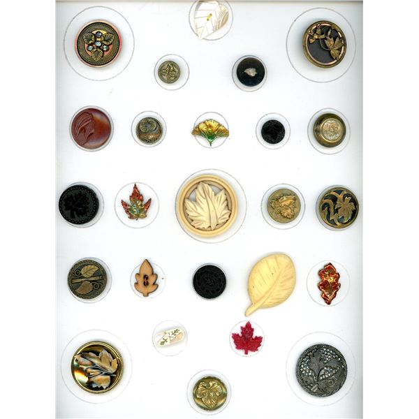 A CARD OF DIVISION ONE AND THREE LEAF BUTTONS