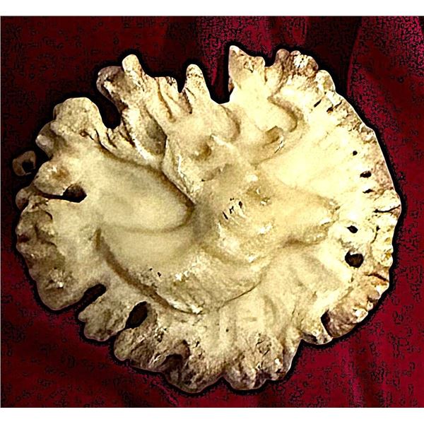 A DIVISION ONE CARVED ANTLER BUTTON