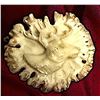 Image 1 : A DIVISION ONE CARVED ANTLER BUTTON