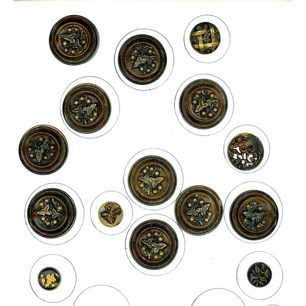 A CARD OF DIVISION ONE PLANT LIFE BUTTONS