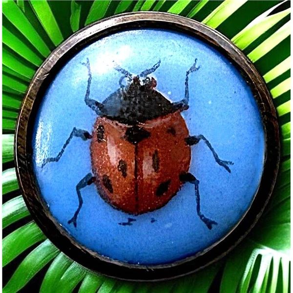 A SCARCE DIVISION ONE LIVERPOOL TRANSFER BUTTON