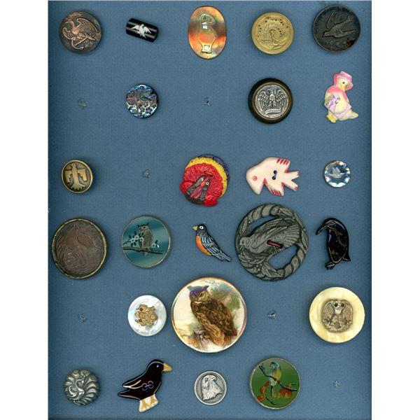 A CARD OF DIVISION 1 & 3 ASSORTED BIRD BUTTONS