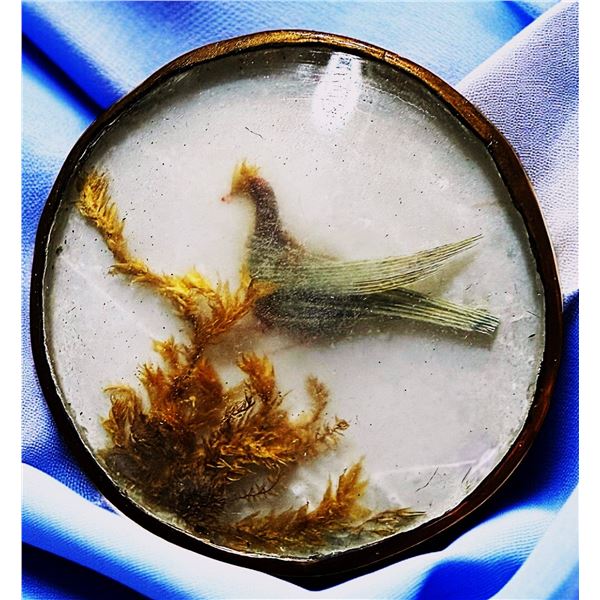 A DIVISION  ONE BIRD UNDER GLASS BUTTON