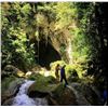 Image 3 : Belize Jungle Adventure