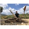 Image 2 : Spain Big Game Hunt