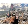 Image 3 : Spain Big Game Hunt