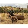 Image 4 : Spain Big Game Hunt
