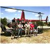 Image 2 : Helicopter Hog Hunt