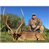 Image 2 : Argentina Big Game Hunt