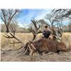 Image 3 : Argentina Big Game Hunt