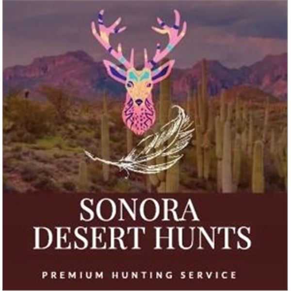 Sonora Desert Mule Deer Hunt