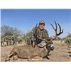 Image 2 : Sonora Desert Mule Deer Hunt