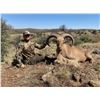 Image 2 : West Texas Aoudad Hunt