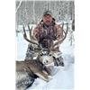 Image 3 : Bull Elk, Black Bear, Mule Deer Combo Hunt