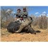 Image 2 : Namibia Cape Buffalo Hunt