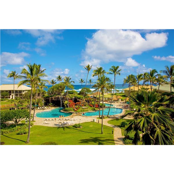 The Aloha Collection