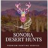 Image 1 : Sonora Desert Big Horn Sheep Hunt