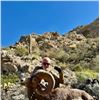 Image 2 : Sonora Desert Big Horn Sheep Hunt