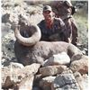 Image 3 : Sonora Desert Big Horn Sheep Hunt