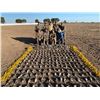 Image 1 : Argentina High Volume Dove/Pigeon Hunt with Fishing