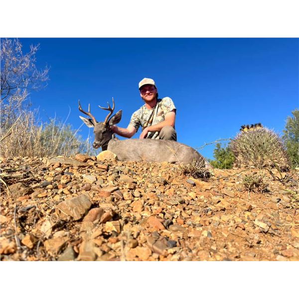 Sonora Coues Deer Hunt for 2 Hunters