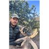 Image 2 : Sonora Coues Deer Hunt for 2 Hunters