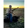 Image 3 : West Texas Rio Grande Turkey & Thermal Hog Hunt