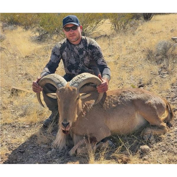 Mexico Aoudad Hunt for 2 Hunters