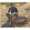 Image 1 : Mexico Aoudad Hunt for 2 Hunters