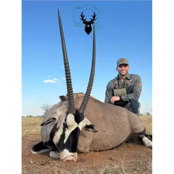 South Africa Plains Game Safari