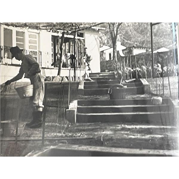 Sierra Madre Wistaria Vine Gardens vintage photo