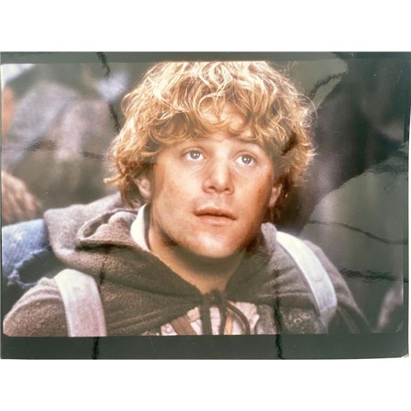 The Lord of the Rings Sean Astin movie photo